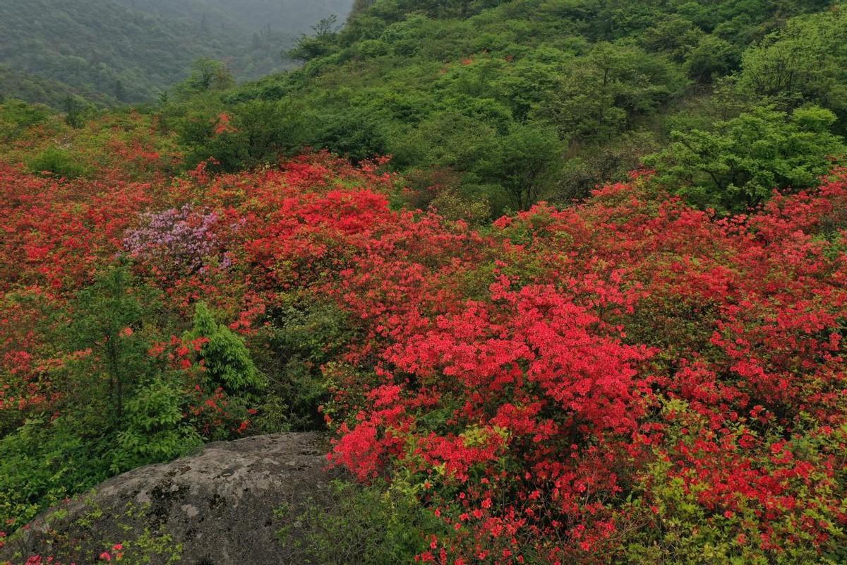 瀏陽白沙鎮(zhèn)有什么好玩的地方_瀏陽白沙古鎮(zhèn)值得去嗎_瀏陽白沙古鎮(zhèn)旅游攻略