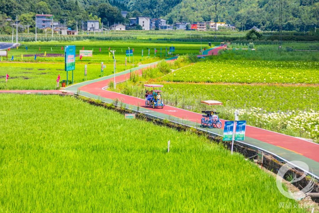 恩施野三峽游玩時(shí)間_恩施三峽旅游路線_恩施野三峽旅游攻略
