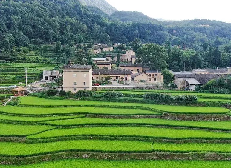 恩施野三峽游玩時(shí)間_恩施野三峽旅游攻略_恩施三峽旅游路線