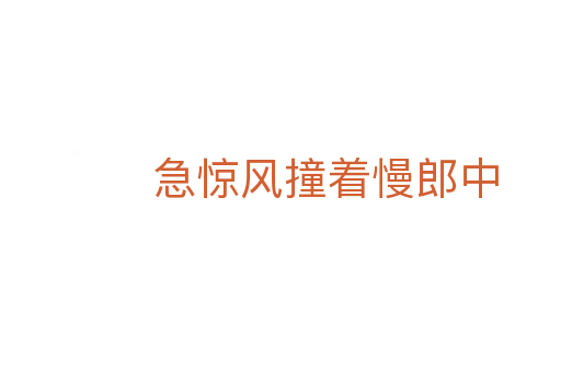 急驚風撞著慢郎中