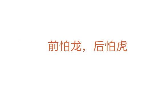 前怕龍，后怕虎
