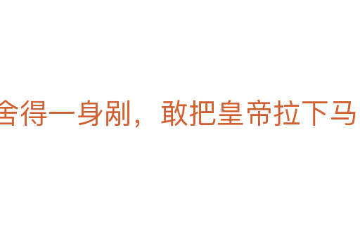 舍得一身剮，敢把皇帝拉下馬