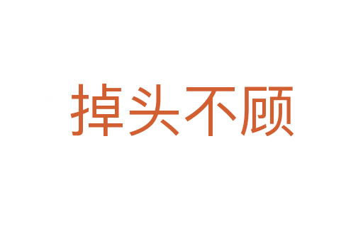 掉頭不顧