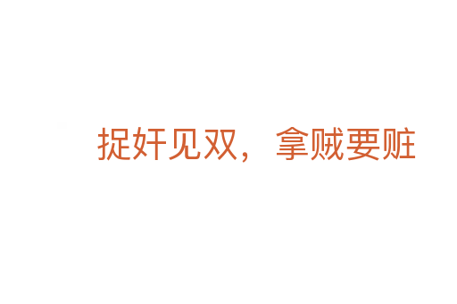 捉奸見雙,拿賊要贓