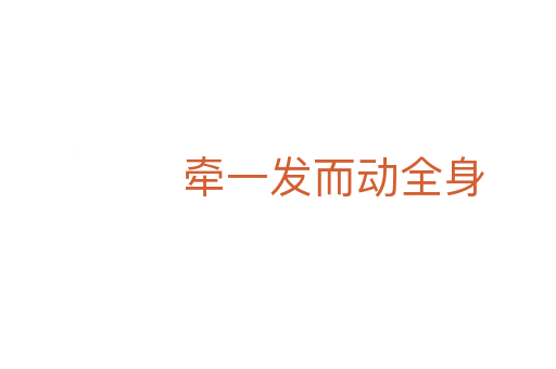 牽一發(fā)而動全身