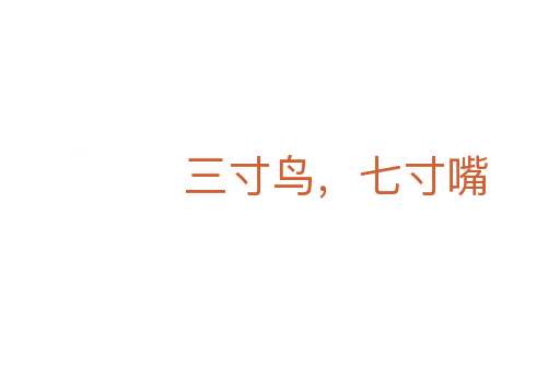 三寸鳥(niǎo),七寸嘴