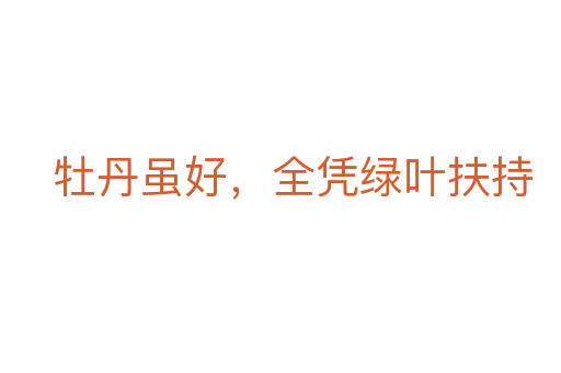 牡丹雖好,全憑綠葉扶持