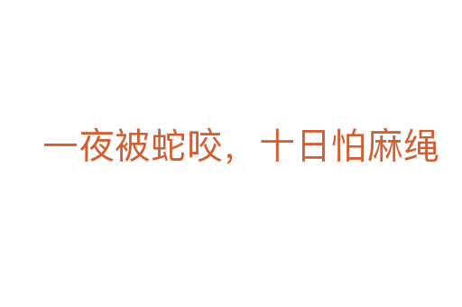 一夜被蛇咬,十日怕麻繩