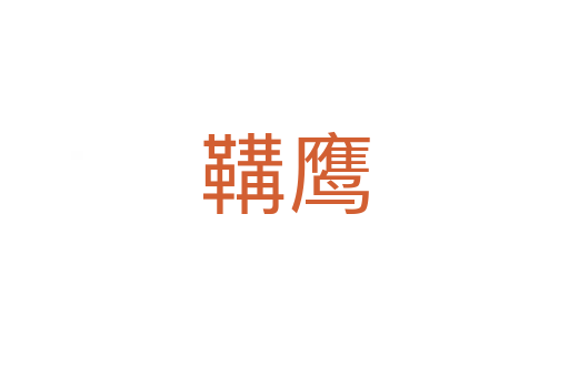 鞲鷹