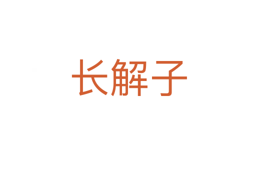 長解子