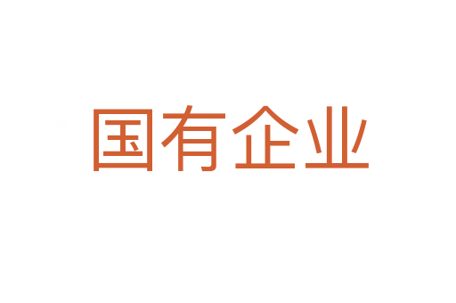國(guó)有企業(yè)