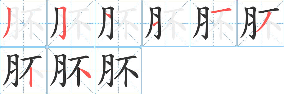 肧的筆順?lè)植窖菔?>
					
                    <hr />
                    <h2>肧的基本信息</h2>
                    <div   id=