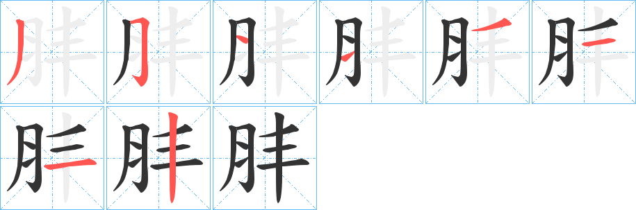 肨的筆順?lè)植窖菔?>
					
                    <hr />
                    <h2>肨的基本信息</h2>
                    <div   id=