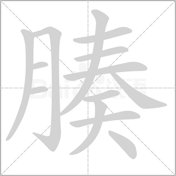 腠的筆順動(dòng)畫演示