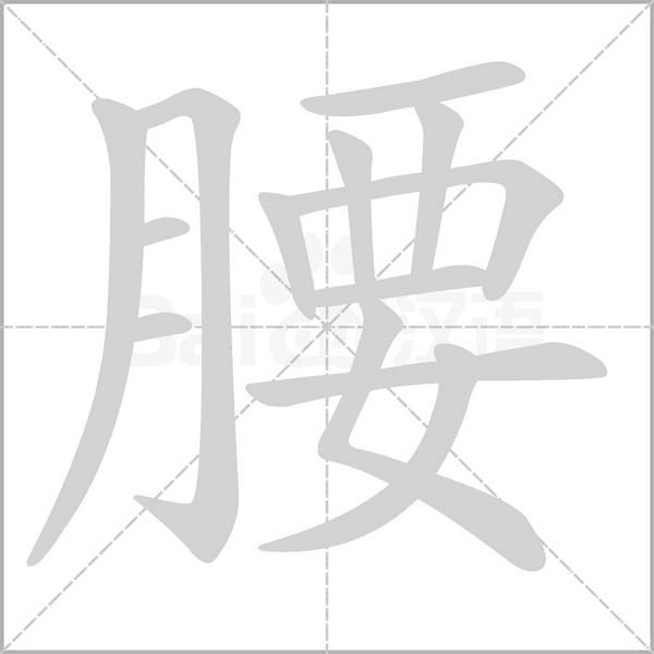 腰的筆順動畫演示