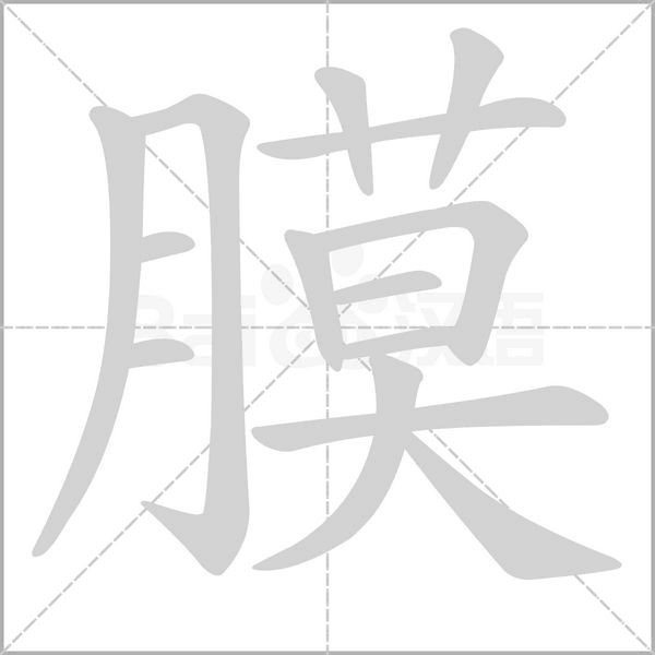 膜的筆順動(dòng)畫演示