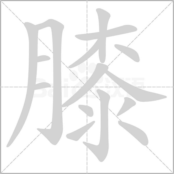 膝的筆順動(dòng)畫演示