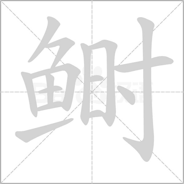 鰣的筆順動(dòng)畫演示