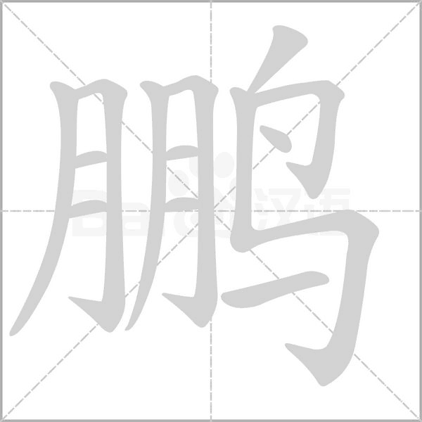 鵬的筆順動(dòng)畫演示